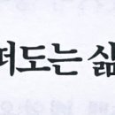 정호세탁소 네이버블로그