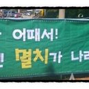 멸치나라 네이버블로그