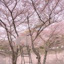 신산카프라자 이미지