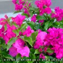 좋은생각 이미지