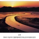 팔도미인
