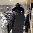 삼성웰딩 | 남자 롱패딩 내셔널지오그래픽 아틀라스 구스다운 점퍼 후기