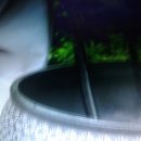 이종구한의원 이미지