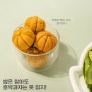 티니호박 이미지