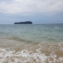 제주도 푸른밤 이미지