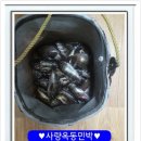 사량옥동민박 이미지