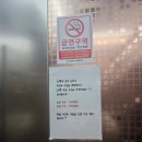 대정읍 남제주요양원 | 제주 모슬포 대방어 축제가서 회 못먹는 사람이 대방어 먹은 후기