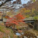 동학사약국 이미지