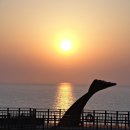 노을축산2 이미지