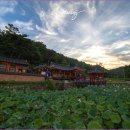 영천 귀애정 이미지