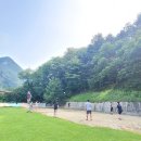 명돌캠프 | 충주 단체여행 숙박 장소 추천 !! &#34;명돌학교 캠프펜션&#34;