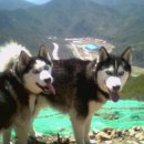 정동진3리 이미지