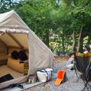 트리아이나 이미지