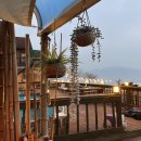 올랑고디또 이미지