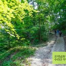 6월8일(토) 수리산(무성봉) 트레킹 이미지