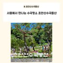 참좋은김밥천국동산점 | [노원구/초안산수국동산] 서울에서 만나는 수국 명소 초안산수국동산 다녀온 후기