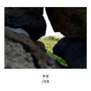 투영 이미지