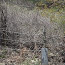 마창대교 옆 이미지