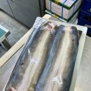 남양주 진접 오남 장어 맛집 &lt;금하민물장어&gt;
