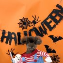 순댕이샵 이미지