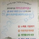 스완코코 이미지