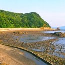 사진 하나 찍으려 전국에서 몰려든다… 바다 위 52m 다리를 건너는 낙조 명소 이미지