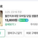 돌끝해물 이미지