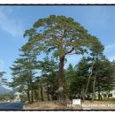 설악파크여관 이미지