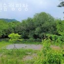 두밀숲캠핑장 | 가평캠핑장 두밀숲캠핑장 후기