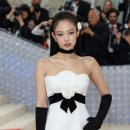 (주)제니스타 이미지