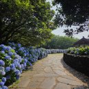 거기벵디 이미지