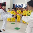 동양 태권도 이미지