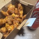 이리와안아줄개 네이버블로그