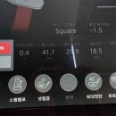 파라다이스 골프레인지 이미지