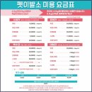 신정애견미용 이미지