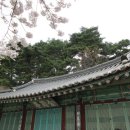 경포호수 1 이미지
