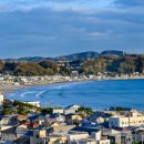 한국차문화공원 관광안내소 이미지