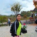 냉이꽃 민박 이미지