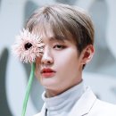 솔로아트 이미지