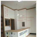 헬로펫 여수 네이버블로그