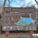 바다구름 도서관 겨울 글방 | 여행 가볼만 한 곳 분당 율동 자연호수공원 책테마파크도서관 데이트 산책 반려견놀이터 단풍 명소 코스