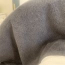 숲CALP