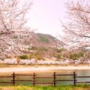 동구리호수공원잔디광장 네이버블로그
