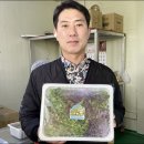 민영환경 네이버블로그