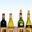 마스코스 이미지