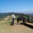 대관령 사파리 목장 이미지