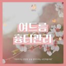 안에;봄