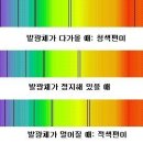 스펙트럼 이미지