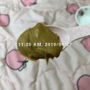 190425~190429 :: 다이어트 정체기 극복일기 (맛불리 정체기 뽀짝 직접 해본 후기)