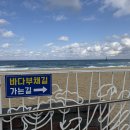 정동진 이미지